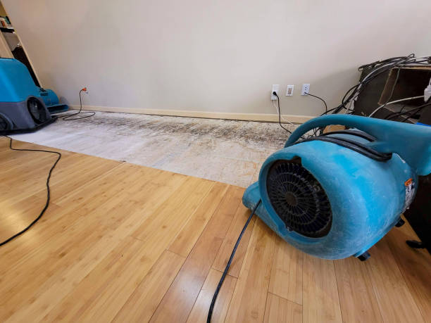 Professional Burst Pipe Water Damage technician working in Chatsworth, IA